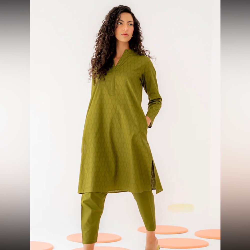 2 piece Pakistani suit.  Indian/Pakistani Suit